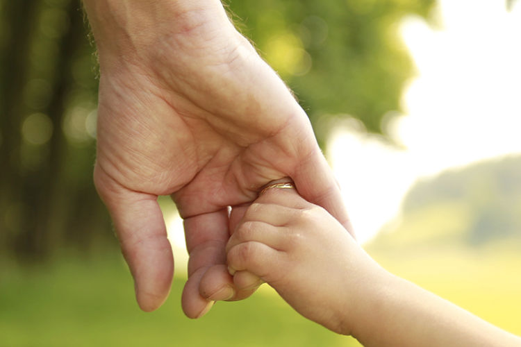 What Parents Need to Know About Paternity