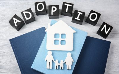 The Top Benefits of Hiring an Adoption Lawyer for Your Adoption…